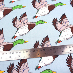 Flying Ducks Fabric - Martha and Hepsie
