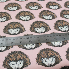 Load image into Gallery viewer, Pink Hedgehog Fabric - Martha and Hepsie
