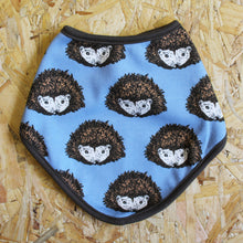 Load image into Gallery viewer, Blue Hedgehog New Baby Gift Set - Martha and Hepsie