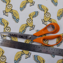 Load image into Gallery viewer, Owl Fabric - Martha and Hepsie
