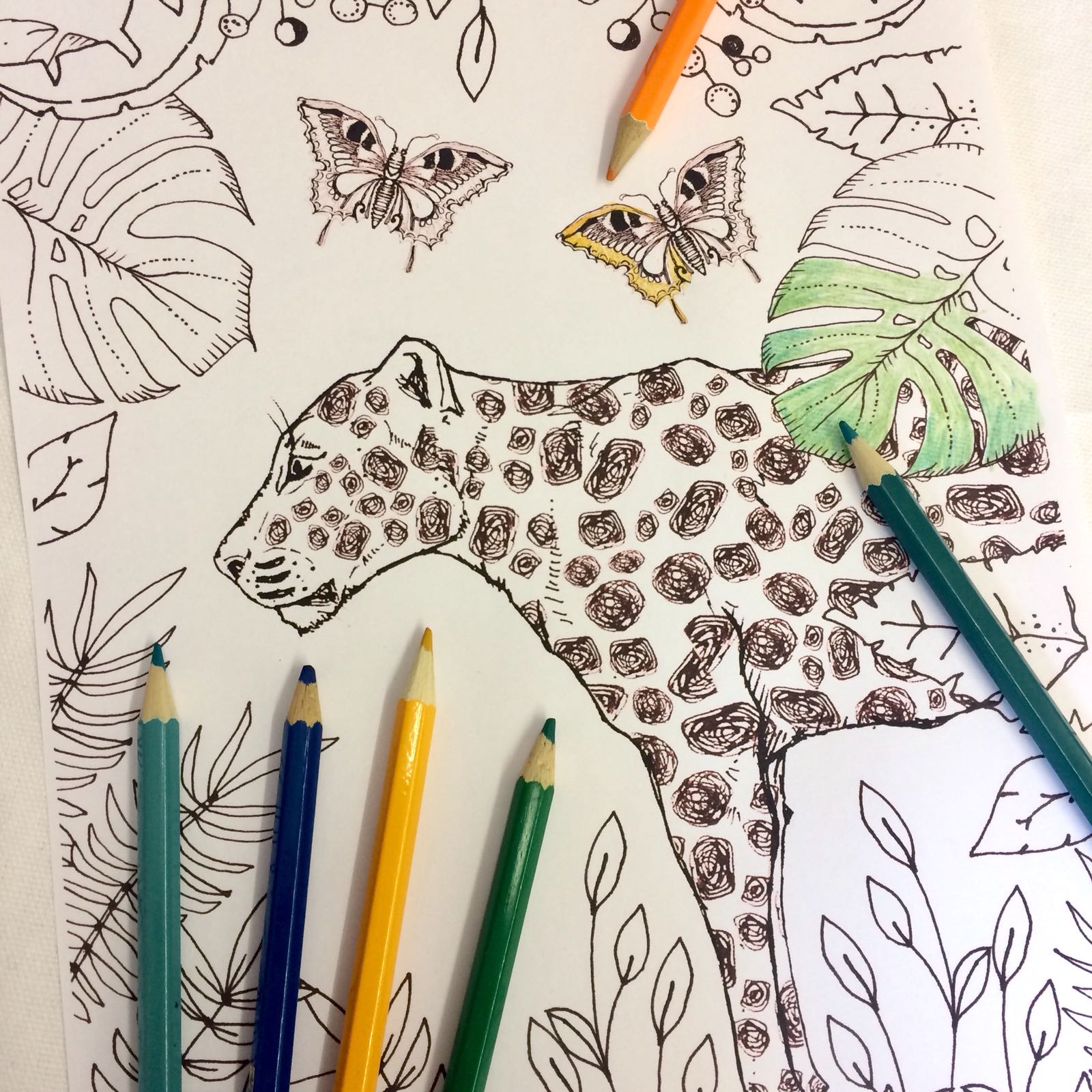 A Boredom Breaker Competition For The Summer Holidays!