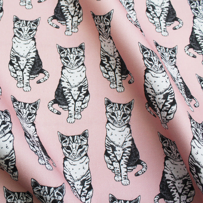 Pink Cat Fabric - Martha and Hepsie