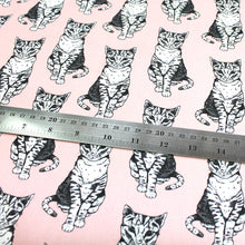 Load image into Gallery viewer, Pink Cat Fabric - Martha and Hepsie
