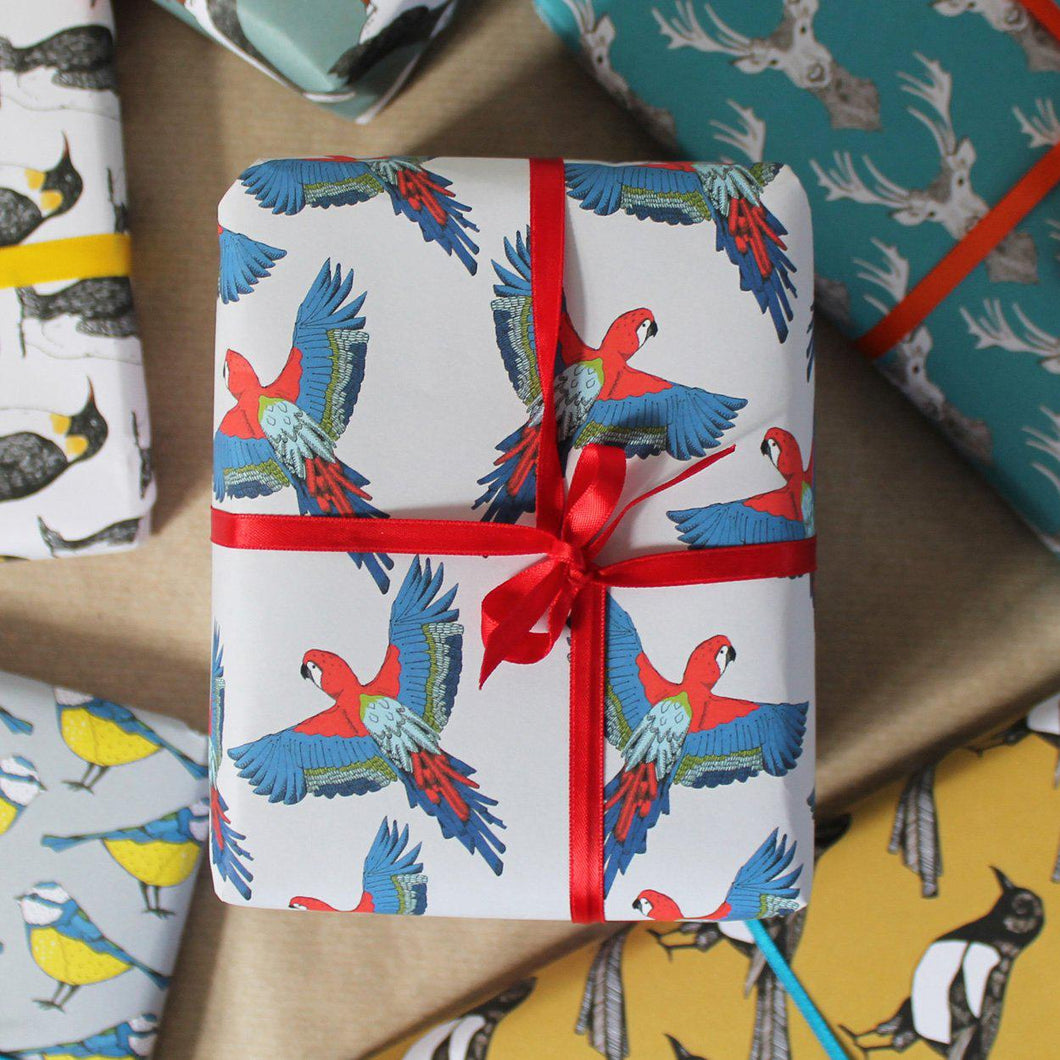Tropical Parrot Gift Wrap - Martha and Hepsie
