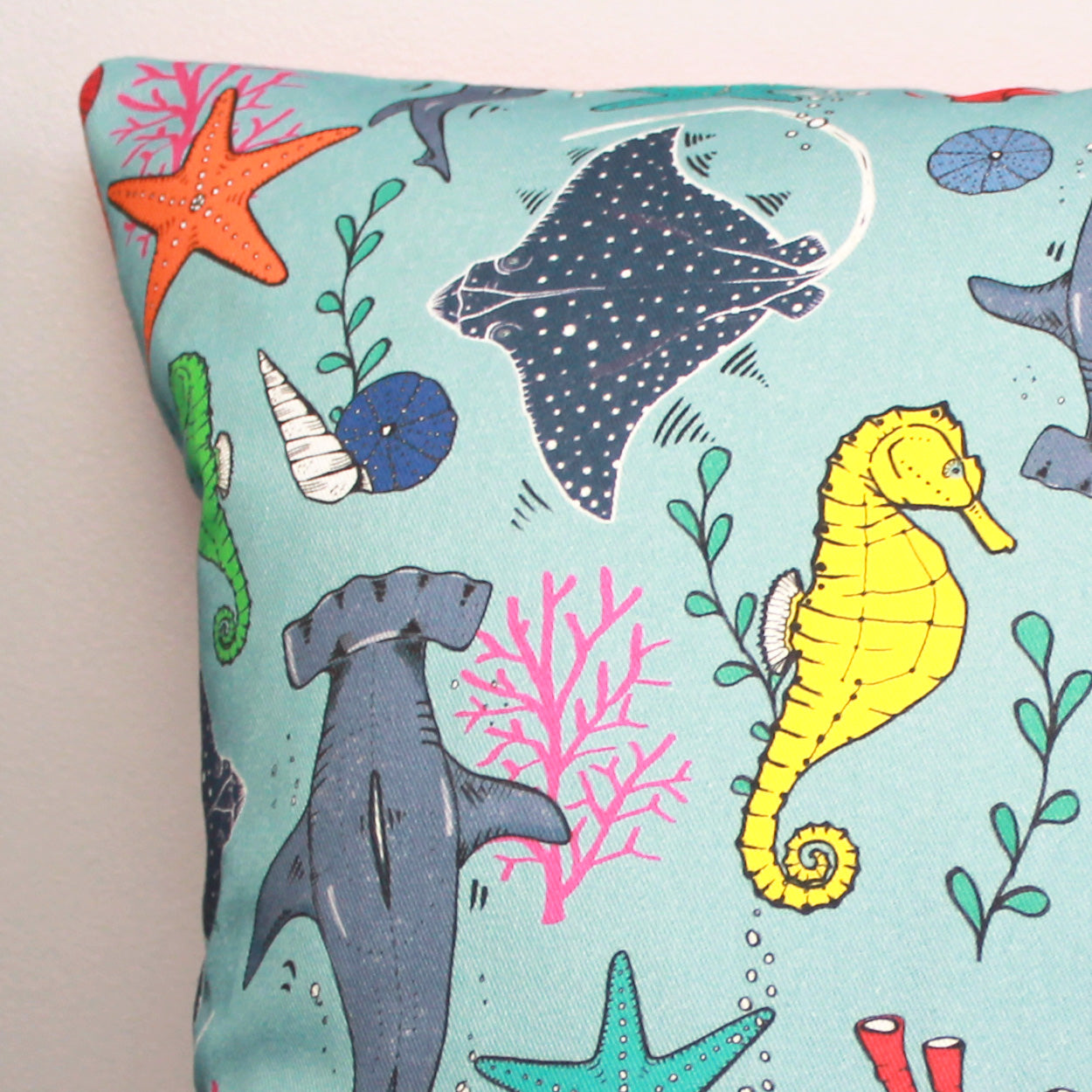 shell cushion