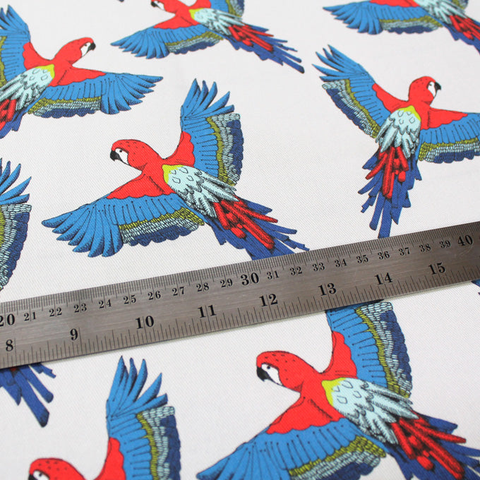 Tropical Parrot Fabric - Martha and Hepsie