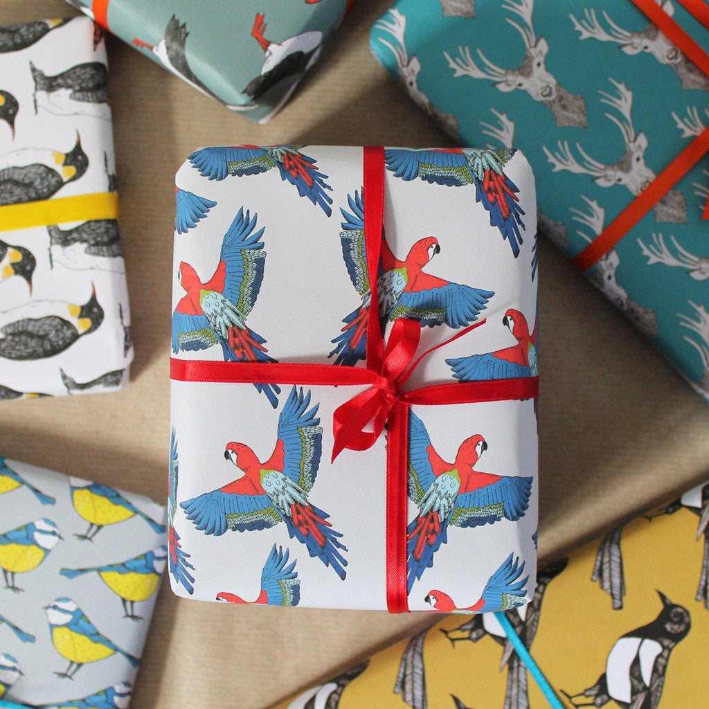 Mixed Animal and Bird Gift Wrap Pack - Martha and Hepsie