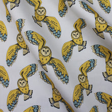 Load image into Gallery viewer, Owl Fabric - Martha and Hepsie
